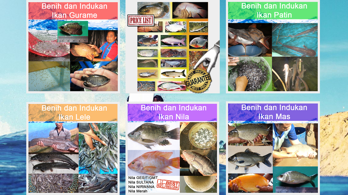 Benih Ikan Air Tawar Berkualitas di Sukabumi